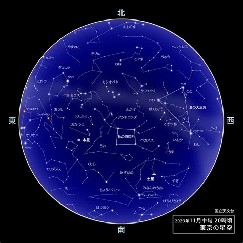 11月26日 星座